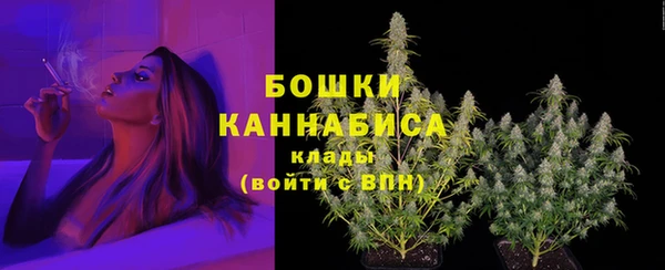 гидра Верхний Тагил