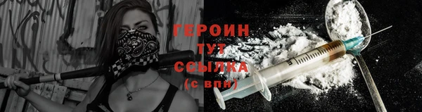 гидра Верхний Тагил