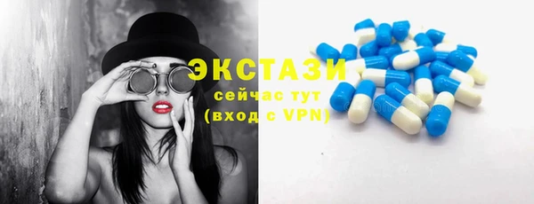 гидра Верхний Тагил