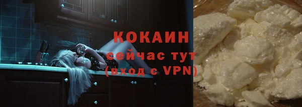 гидра Верхний Тагил