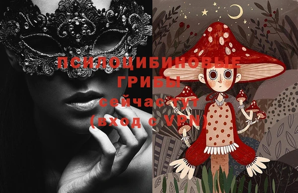 гидра Верхний Тагил