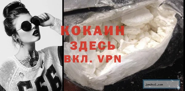 гидра Верхний Тагил