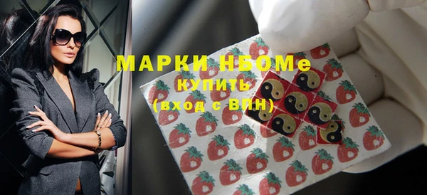 гидра Верхний Тагил