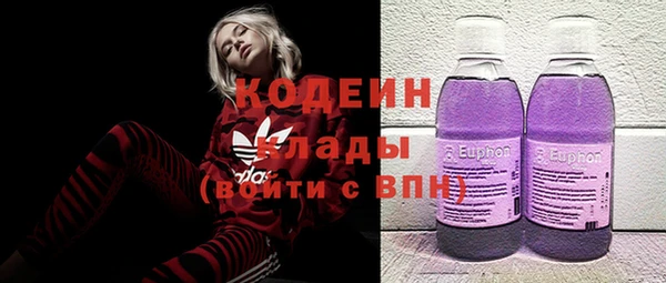 гидра Верхний Тагил