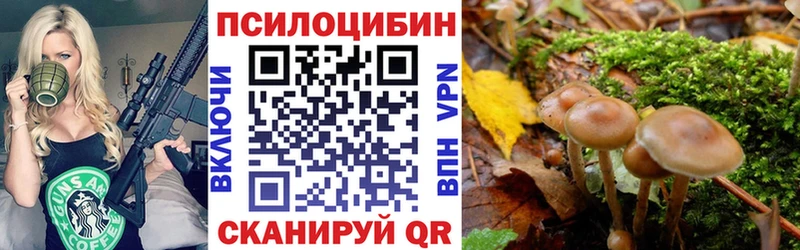 Купить  Тайга  Галлюциногенные грибы ЛСД 